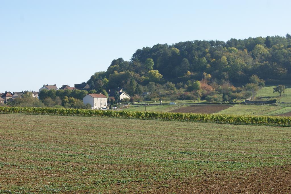 Le Verger Des Hautes-Cotes De Nuits Villers-la-Faye Zewnętrze zdjęcie